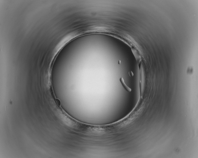 X0000090901370200708131344