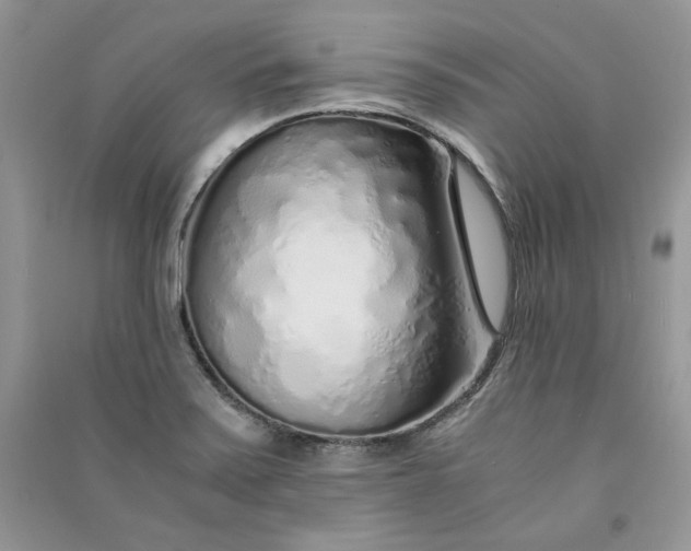 X0000090901371200708131344