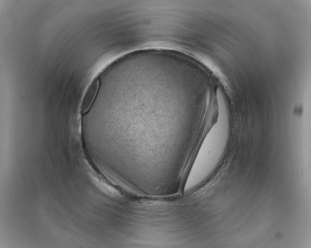 X0000090901372200708131344