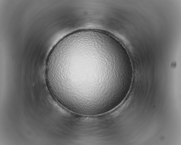 X0000090901374200708131344