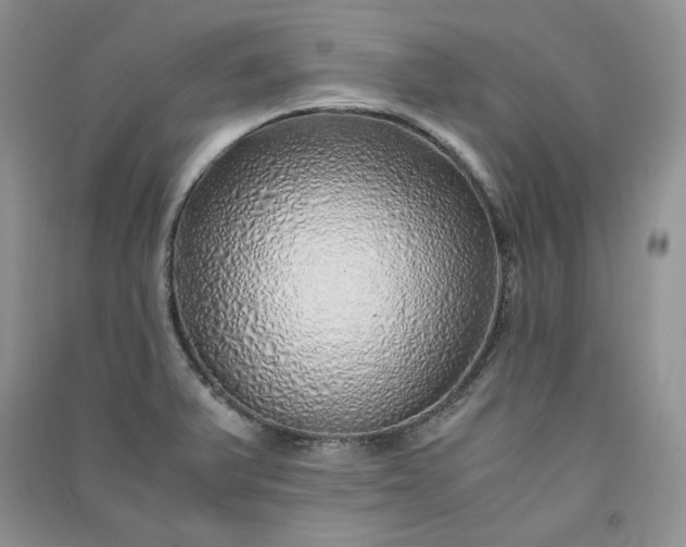 X0000090901375200708131344