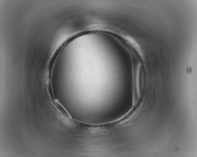 X0000090901376200708131344