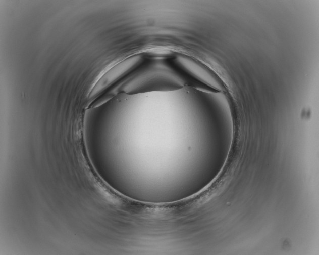 X0000090901377200708131344