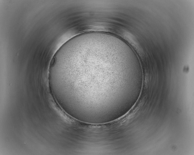 X0000090901378200708131344