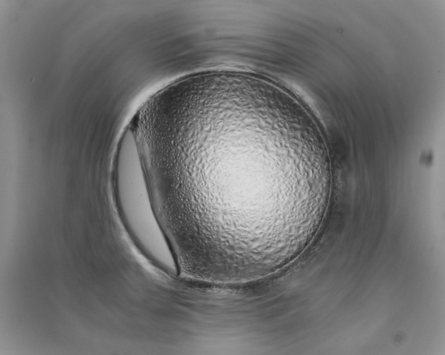 X0000090901379200708131344