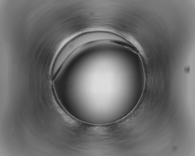X0000090901380200708131344