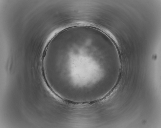 X0000090901381200708131344