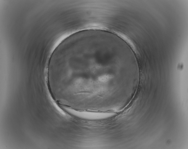 X0000090901383200708131343