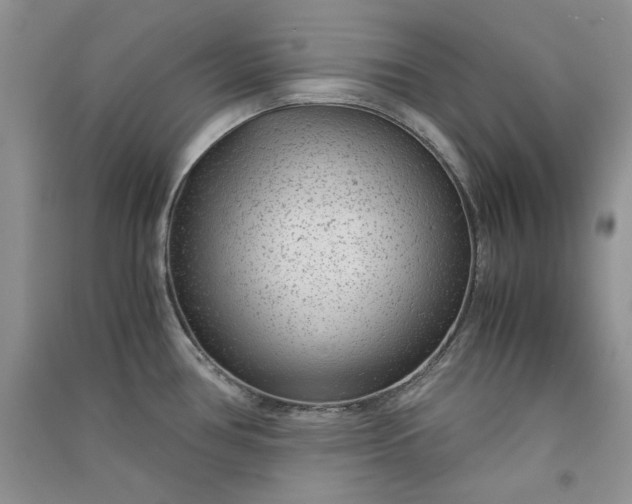 X0000090901386200708131343