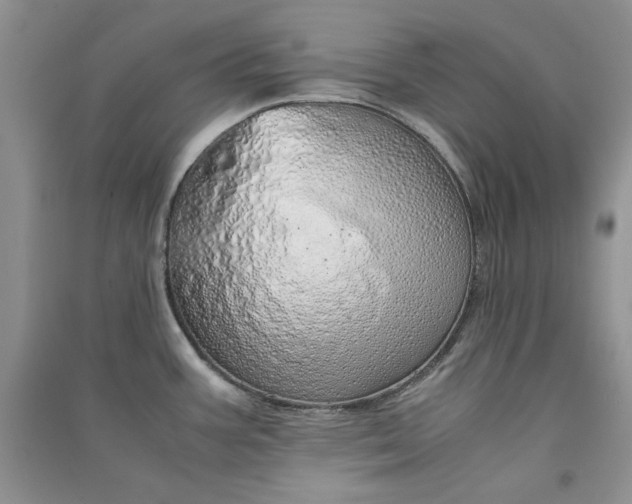 X0000090901387200708131343