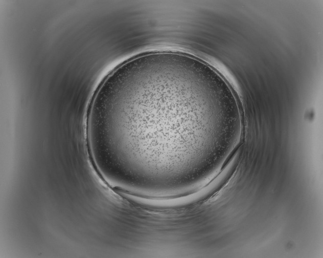 X0000090901388200708131343