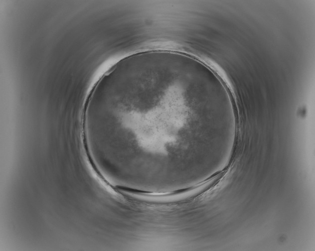 X0000090901389200708131343