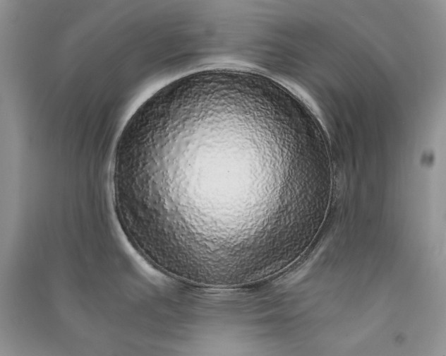 X0000090901391200708131343