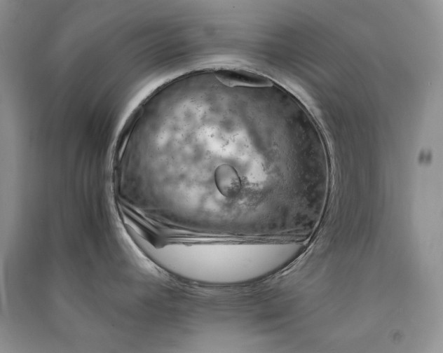 X0000090901392200708131343