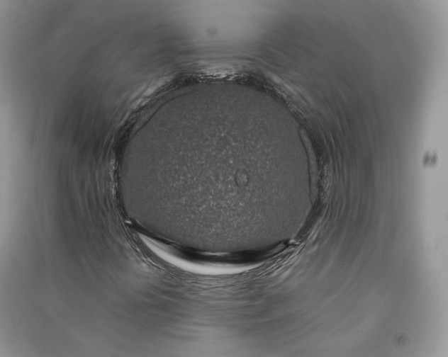 X0000090901394200708131343