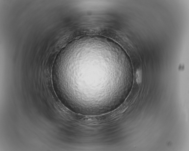 X0000090901395200708131343