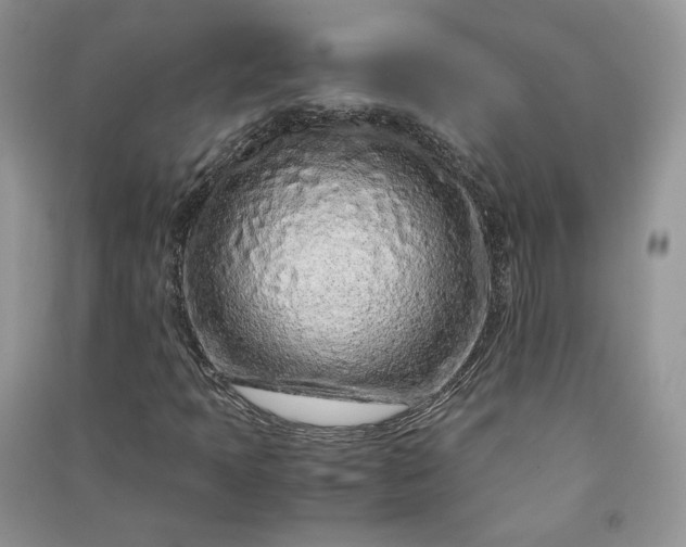 X0000090901397200708131343