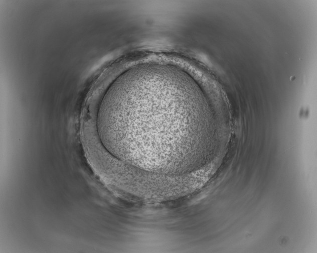 X0000090901398200708131343