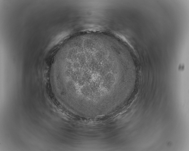 X0000090901399200708131343