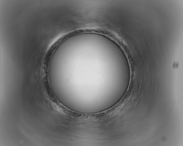 X0000090901400200708131343