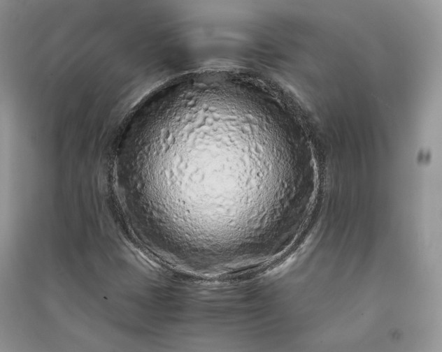 X0000090901401200708131343