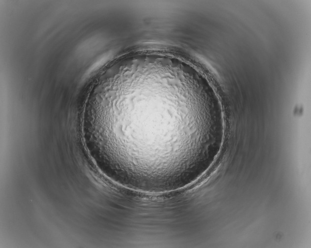 X0000090901403200708131343