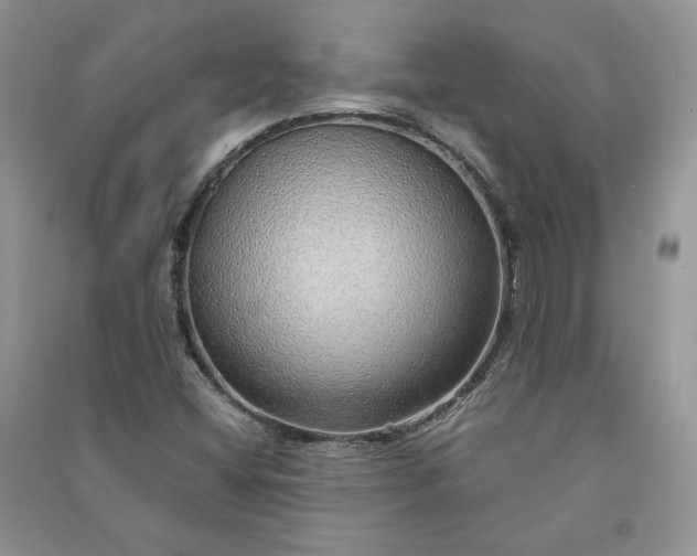 X0000090901404200708131343