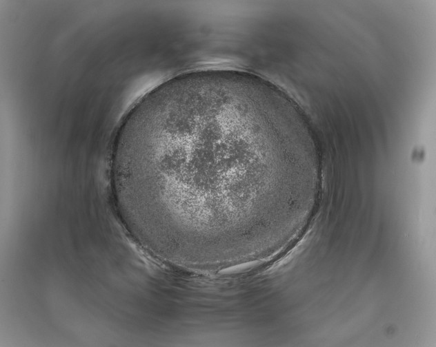X0000090901405200708131343