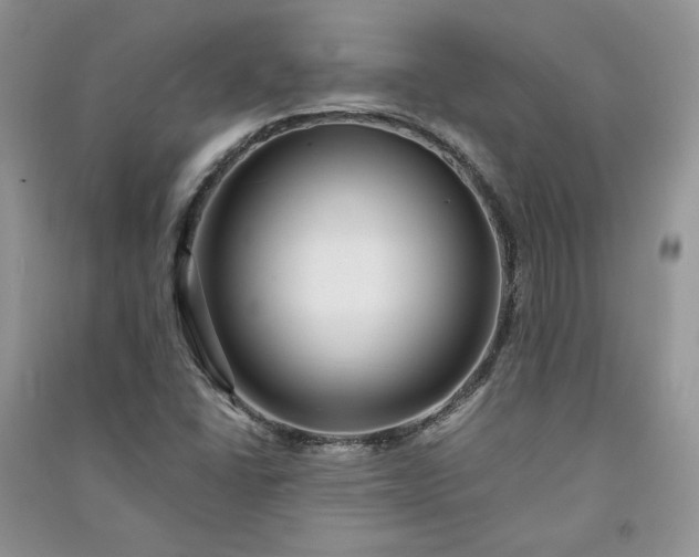 X0000090901406200708131343