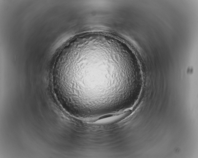 X0000090901407200708131343