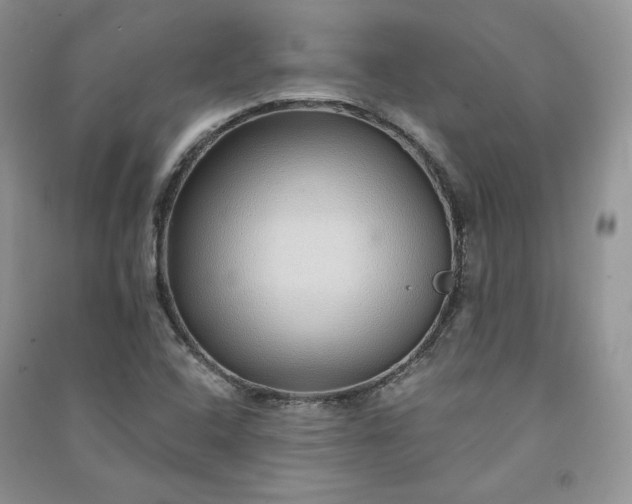 X0000090901408200708131343