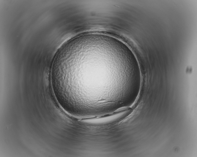 X0000090901409200708131343