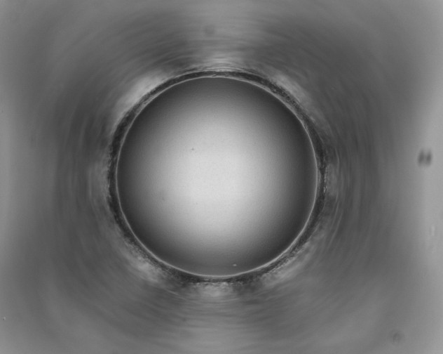 X0000090901410200708131343