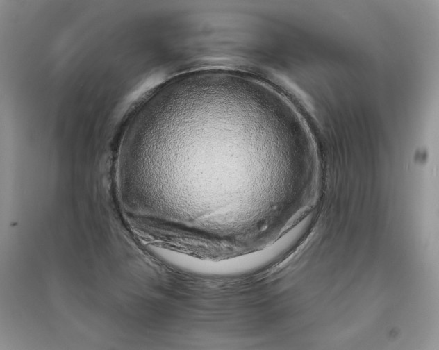 X0000090901411200708131343