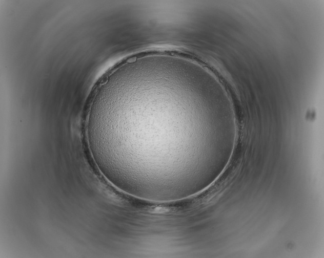 X0000090901412200708131343