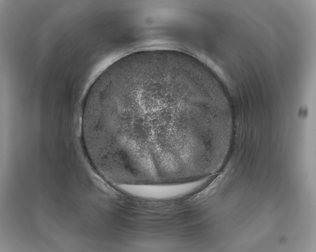 X0000090901413200708131343