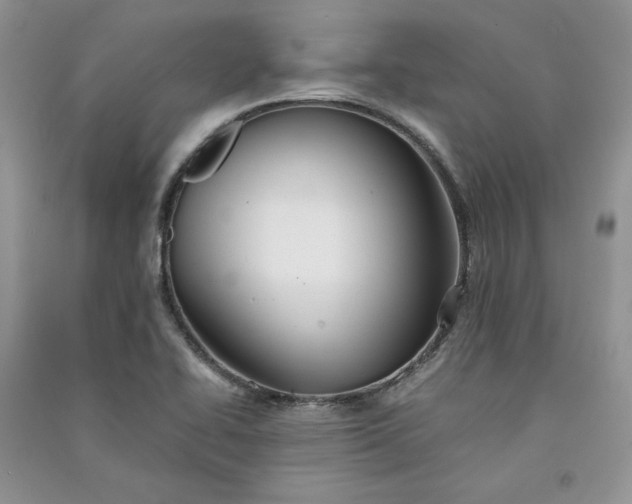 X0000090901414200708131343