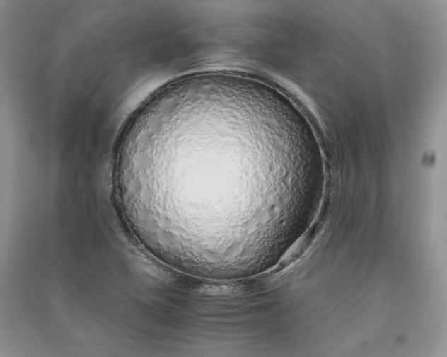 X0000090901415200708131343