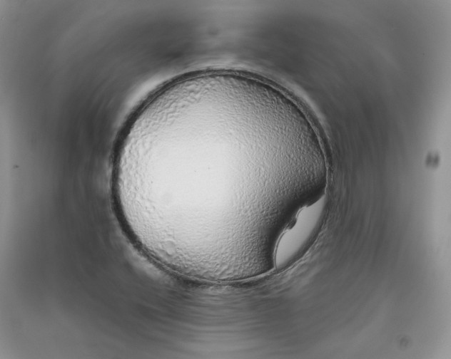 X0000090901416200708131343