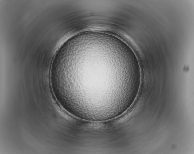 X0000090901417200708131343