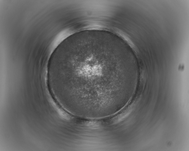 X0000090901418200708131343