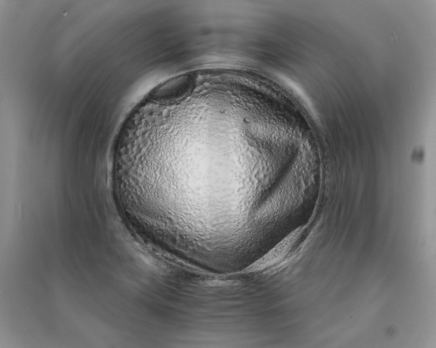 X0000090901419200708131343