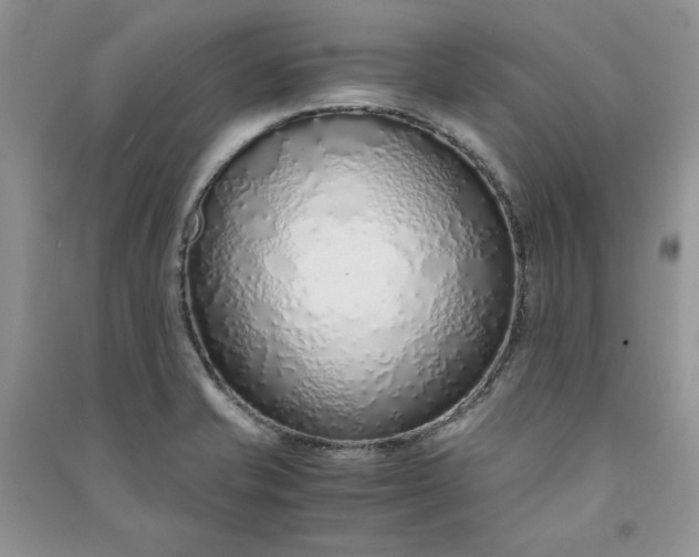 X0000090901421200708131343