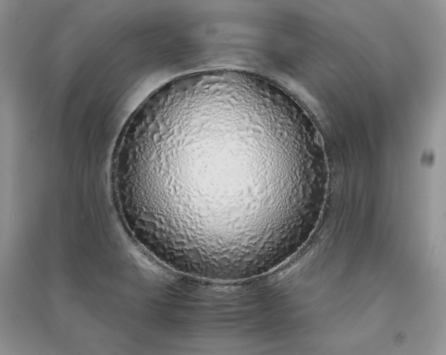 X0000090901423200708131343