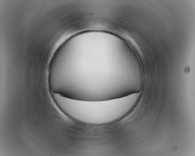 X0000090901424200708131343