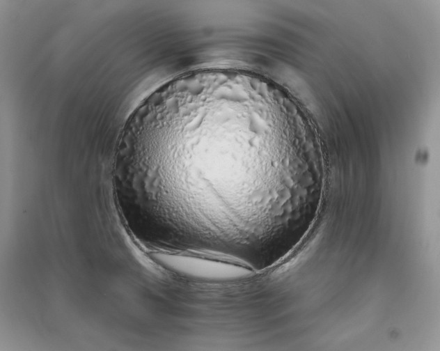 X0000090901425200708131343