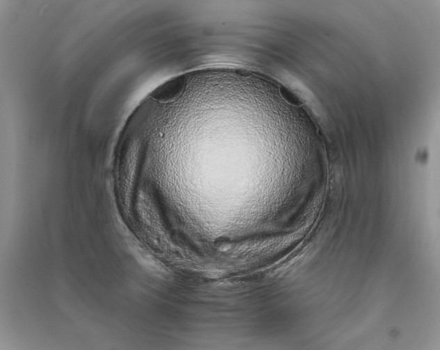 X0000090901427200708131343