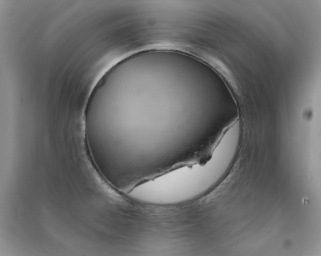 X0000090901428200708131343