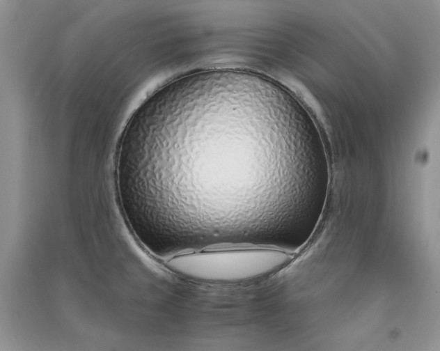 X0000090901429200708131343