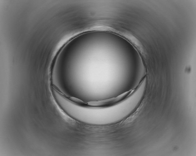 X0000090901430200708131343
